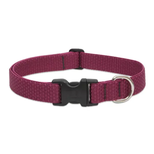 Lupine16-28 1 ECOBerry