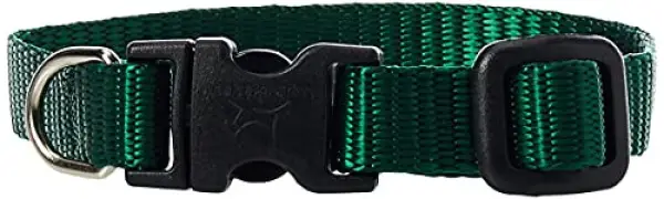 Lupine 6-9 1/2 Adj Green