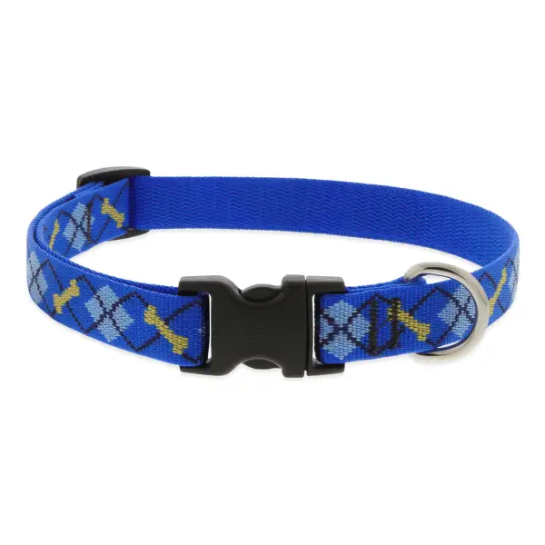 Lupine 13-22 DapperDog