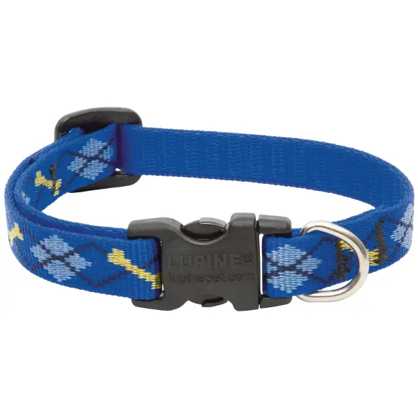 Lupine 8-12 1/2 DapperDog