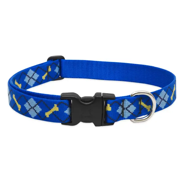 Lupine 16-28 1 DapDog
