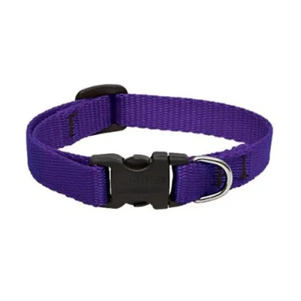 Lupine 8-12 1/2 Adj Purple