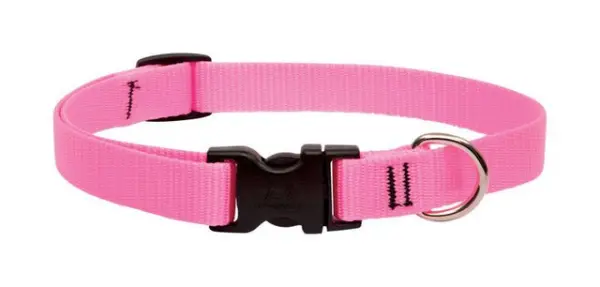 Lupine 13-22 3/4 Pink