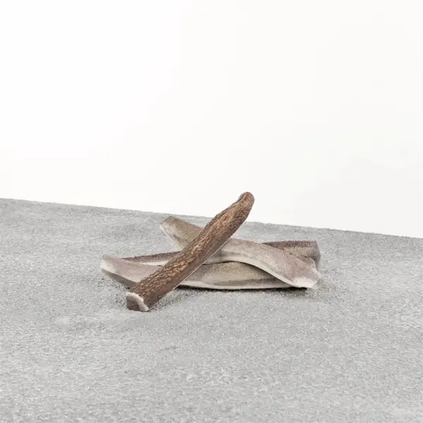 Stag Antler Split LG