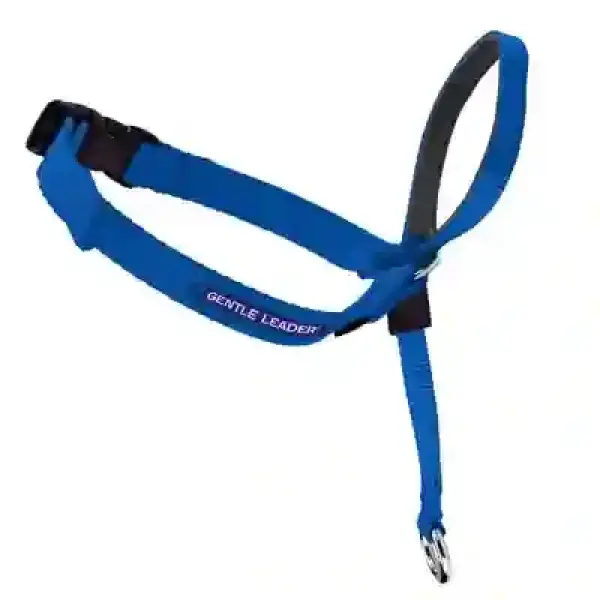 GentleLeader Sys XL Blu