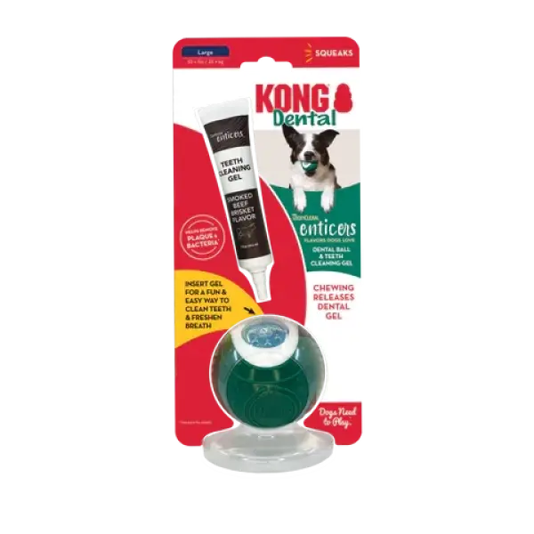 Kong Dental Ball lg