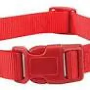 Zack and Zoey Collar 14-20 Red