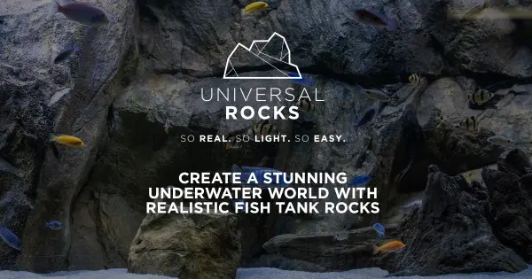 Create a Stunning Underwater World with Realistic Fish Tank Rocks