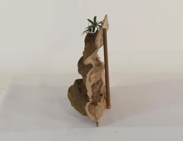 24" x 18"  Exo-Terra