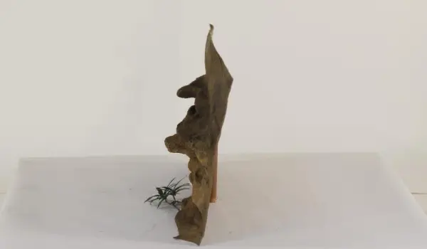 36" x 16" Ledge