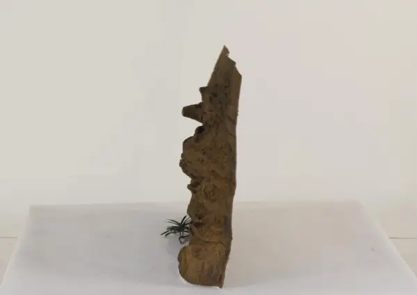 36" x 24" Ledge