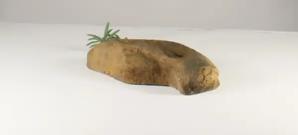 Rock Bowl - 005
