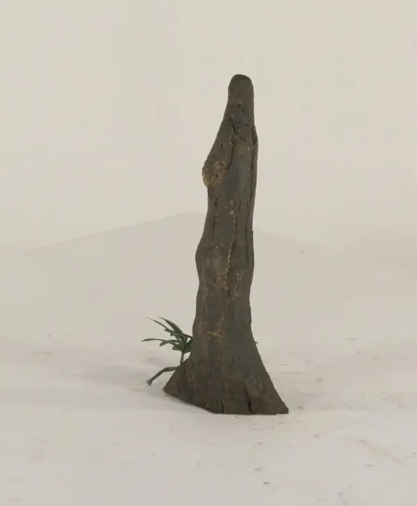 Cypress Knee - 004