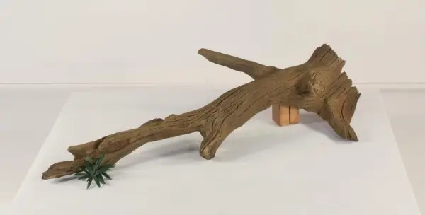 Floating Log-002