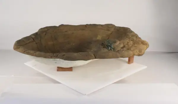 Medium Rock Pond-012 (Spillway)