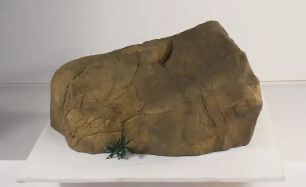 ROCK-008