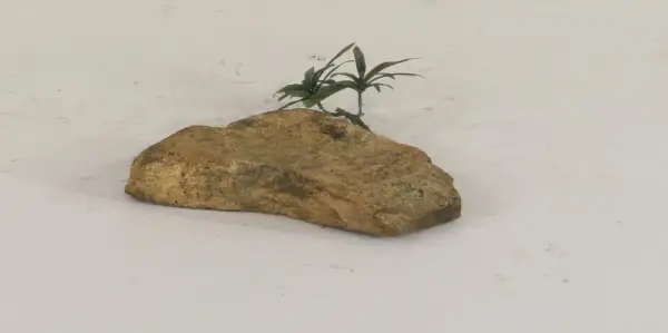 Dispersion Rock - 003
