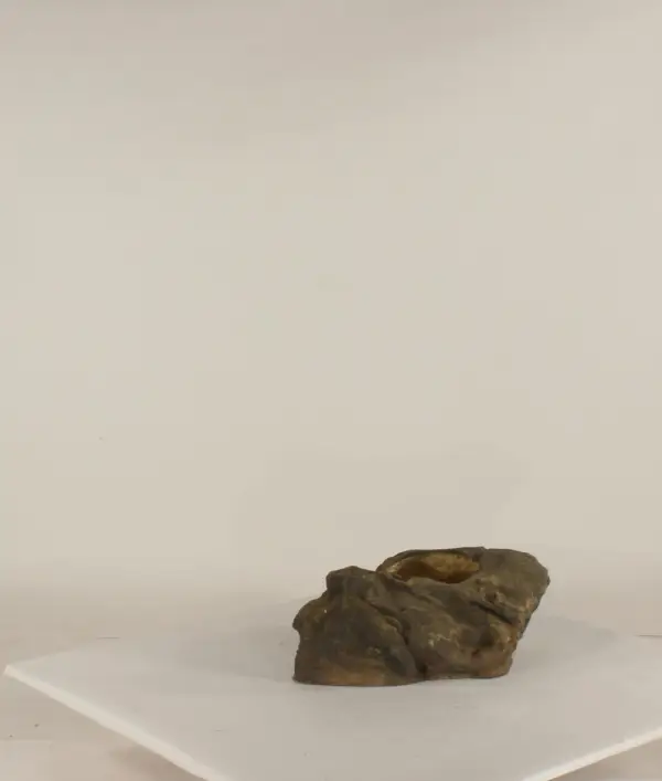 Pot Rock - 003