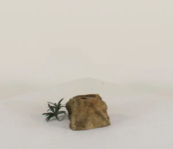 Pot Rock - 007