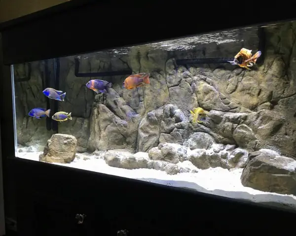 48" x 24" Kiama with base
