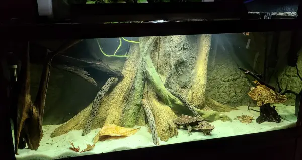 Deep Water