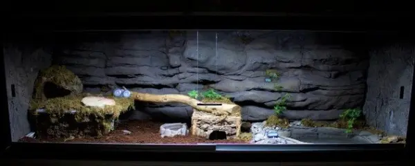 Wilson's Ridge - Custom