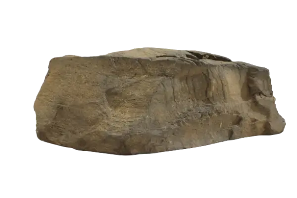 Pool Sample
