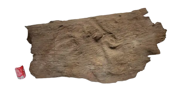 Sunken Log-003