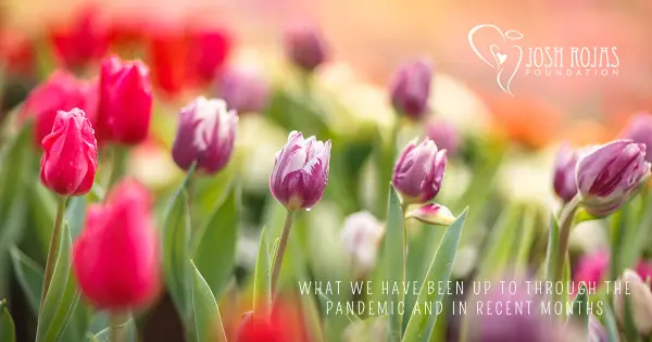 What We Have Been Up to Through the Pandemic and in Recent Months