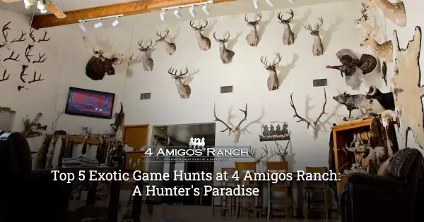Top 5 Exotic Game Hunts at 4 Amigos Ranch: A Hunter's Paradise