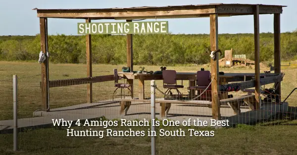 Why 4 Amigos Ranch Is One of the Best Hunting Ranches in South Texas