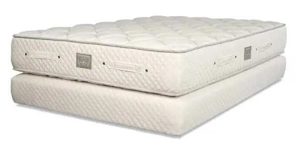 Dream Spring Limited Mattress by Royal-Pedic