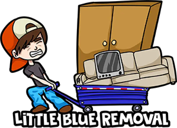 Little Blue Removal Logo