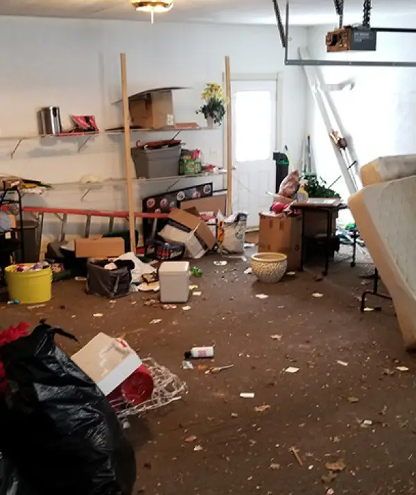 Junk Removal