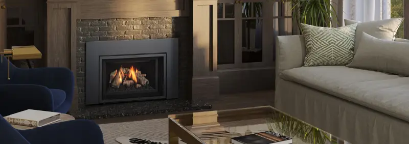 Regency GI25LE Gas Insert