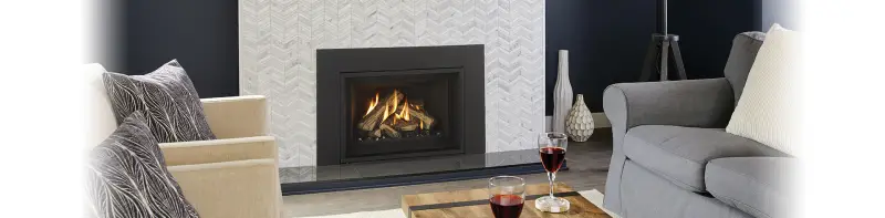 Regency GI29LE Gas Insert