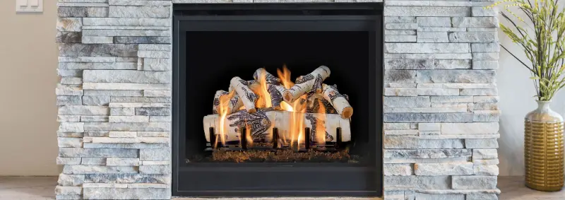 Regency GL24V Vented Gas Logs