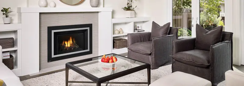Regency HRI4E Gas Insert