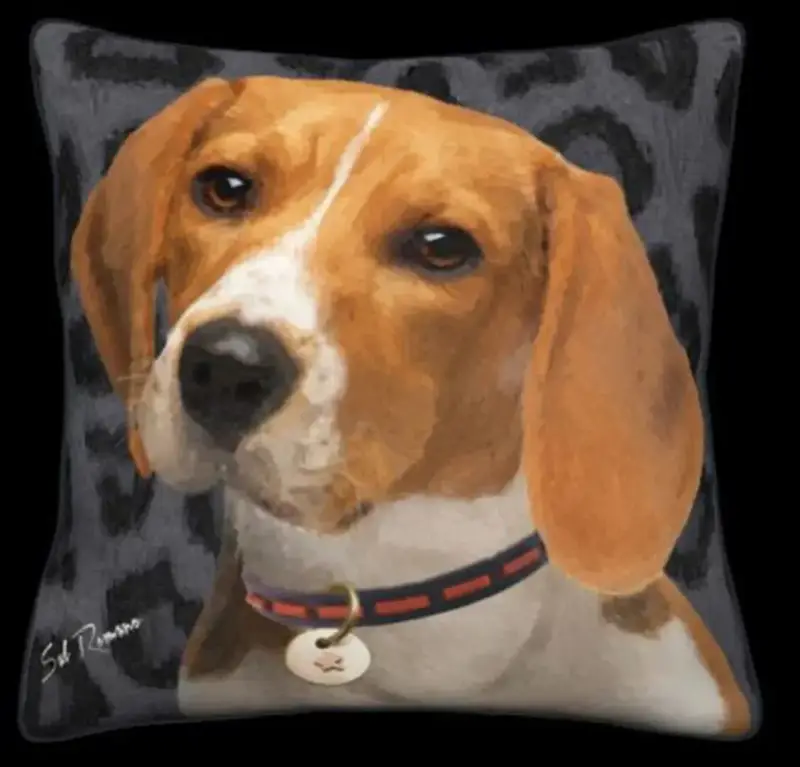 Beagle
