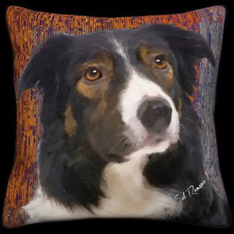 Australian Shepard