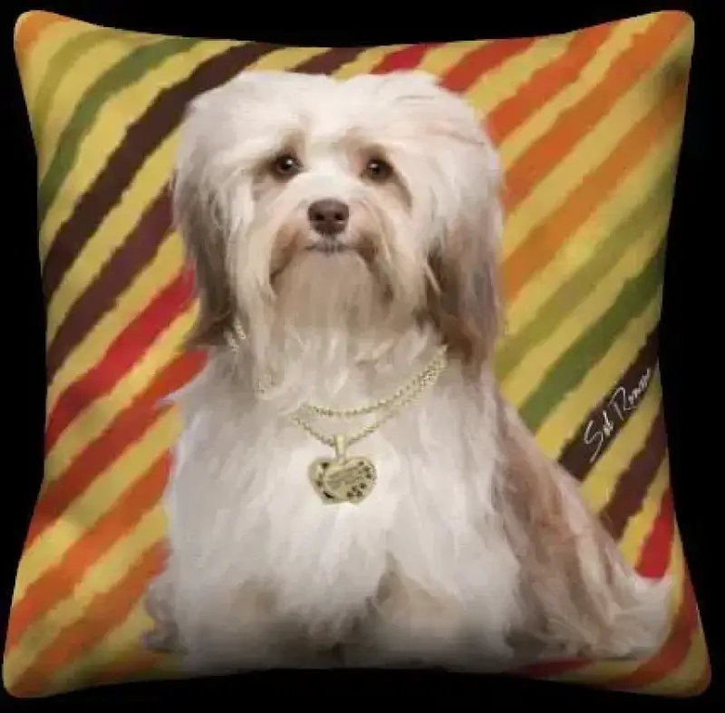 Havanese
