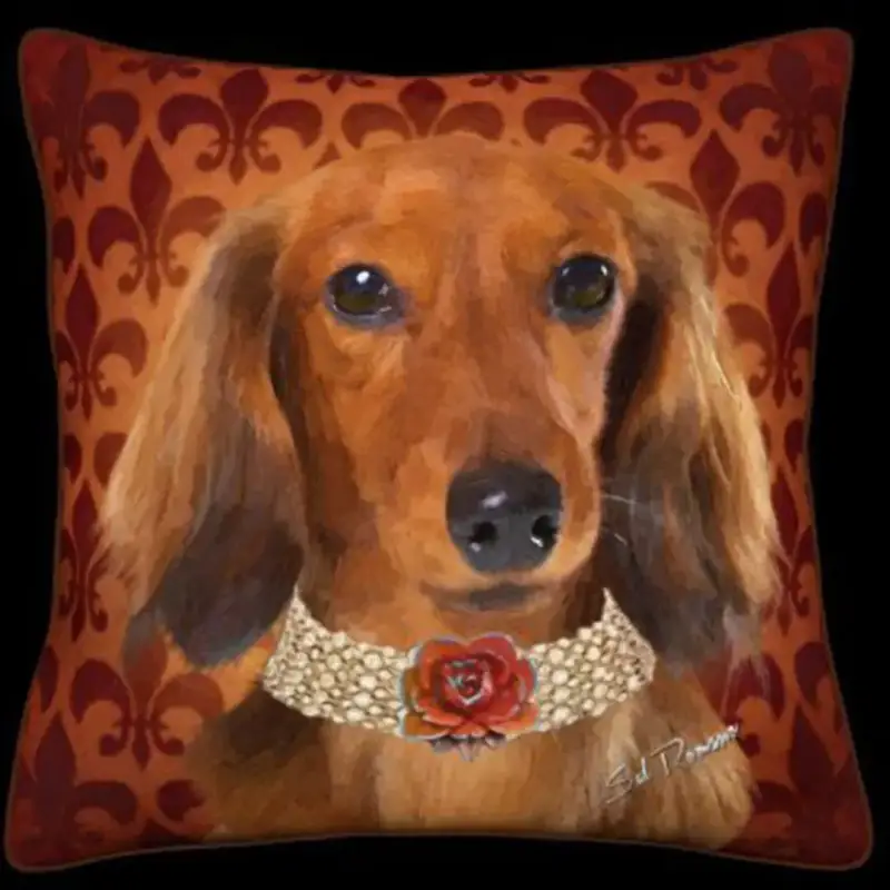 Long-Haired Dachshund