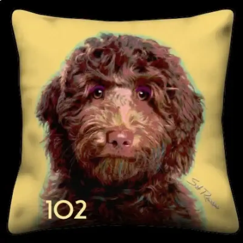 Labradoodle