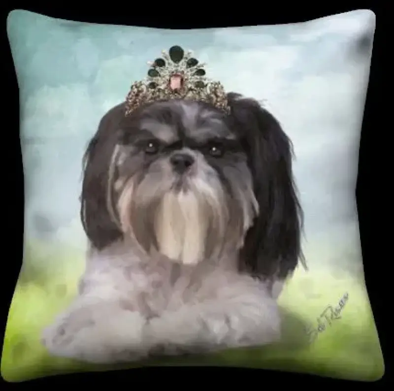 Shih-Tzu - Sky