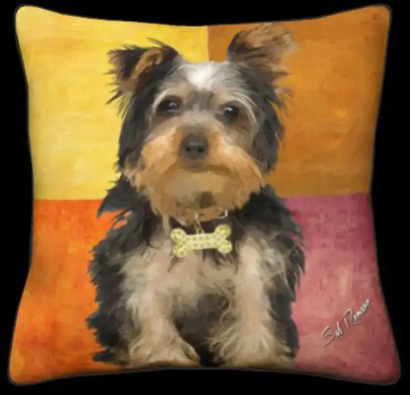 Yorkie - Squares