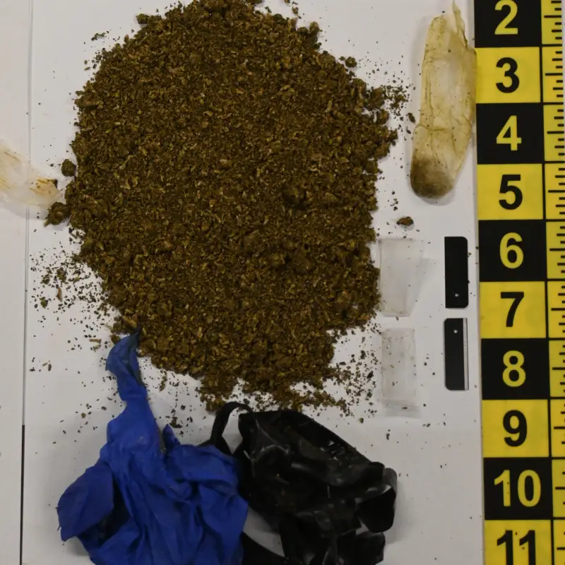 Deputies Prevent Contraband from Entering the Monroe County Jail