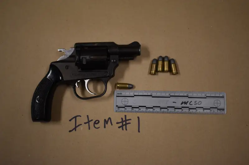 Deputies Seize Another Illegally Possessed Gun
