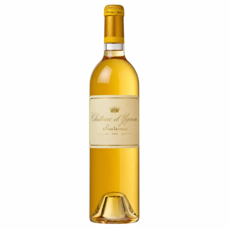 Chat D'Yquem