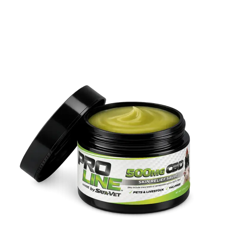 CBD Skin Relief Salve For Pets • 500 mg CBD + CBG