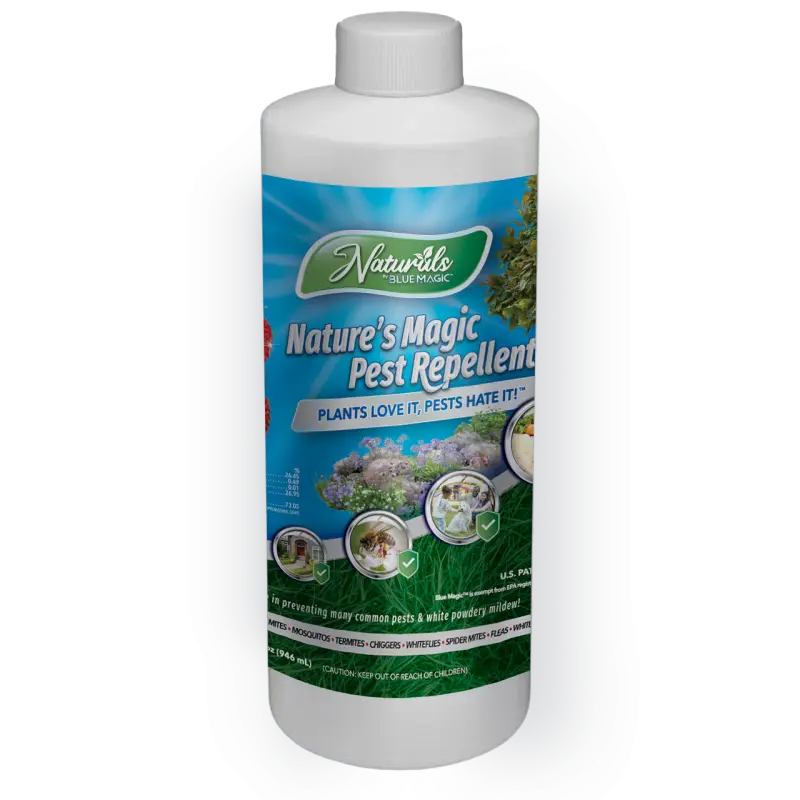 Naturals by Blue Magic™ | PreMix Refill, 32oz